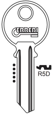 Boîte de 100 ébauches de clés R5D